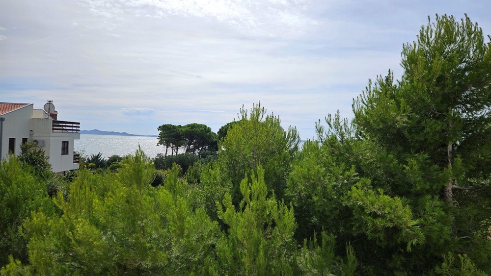 Kilátás a tengerre a sűrű zöld fák mögött, fehér házzal és a háttérben a horizonttal.