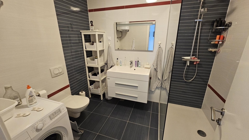 Fürdőszoba zuhanyzóval, WC-vel és mosógéppel