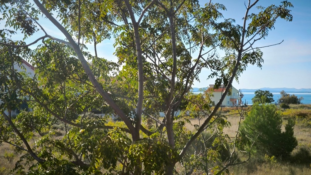 Eladó ingatlan a Zadar melletti Privlakában - Panorama Scouting A3764.