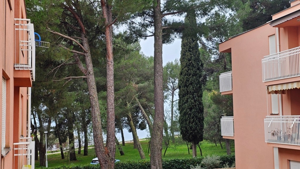 Vásároljon lakást a tenger mellett Isztria, Novigrad.