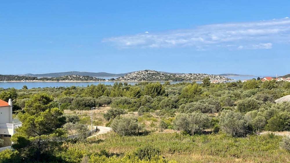 Széles kilátás az olajfaligetekre a Vodice-öbölre