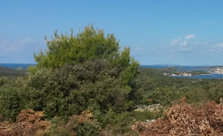 Eladó telek Horvátországban Rogoznica közelében - Panoráma cserkészet.