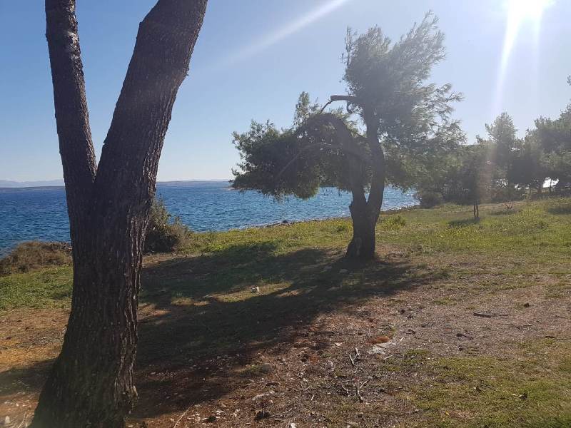 Tengerparti ingatlanok Horvátországban - Panorama Scouting Ingatlanok.