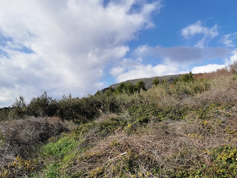 Eladó telek Horvátországban - G382.