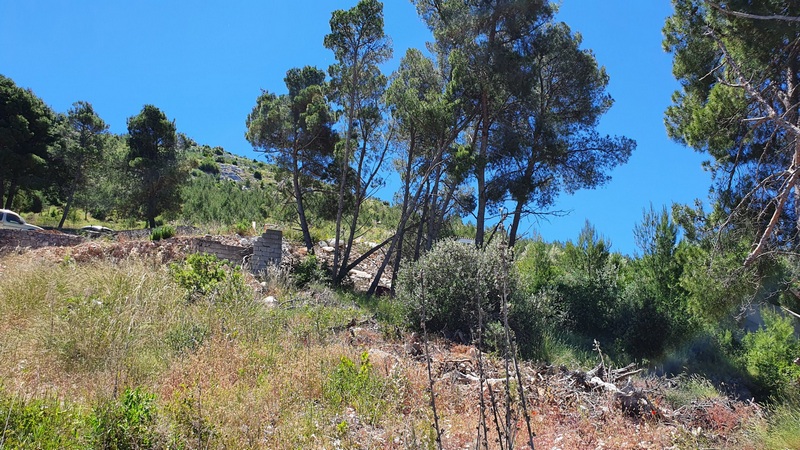 Kilátás a G393-as ingatlanra egy domboldalon.