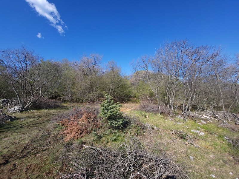 Földvásárlás Horvátországban, Kvarner-öbölben, Krk szigetén - Panorama Scouting Immobilien G408, vételár: 480 000 EUR - 3. kép