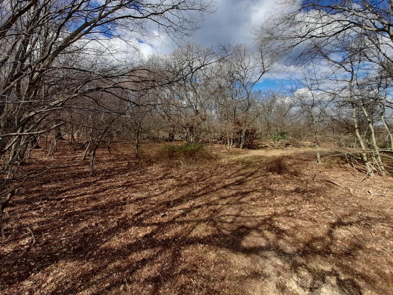 Földvásárlás Horvátországban, a Kvarner-öbölben, Krk szigetén - Panorama Scouting Immobilien G408, vételár: 480 000 EUR - 4. kép