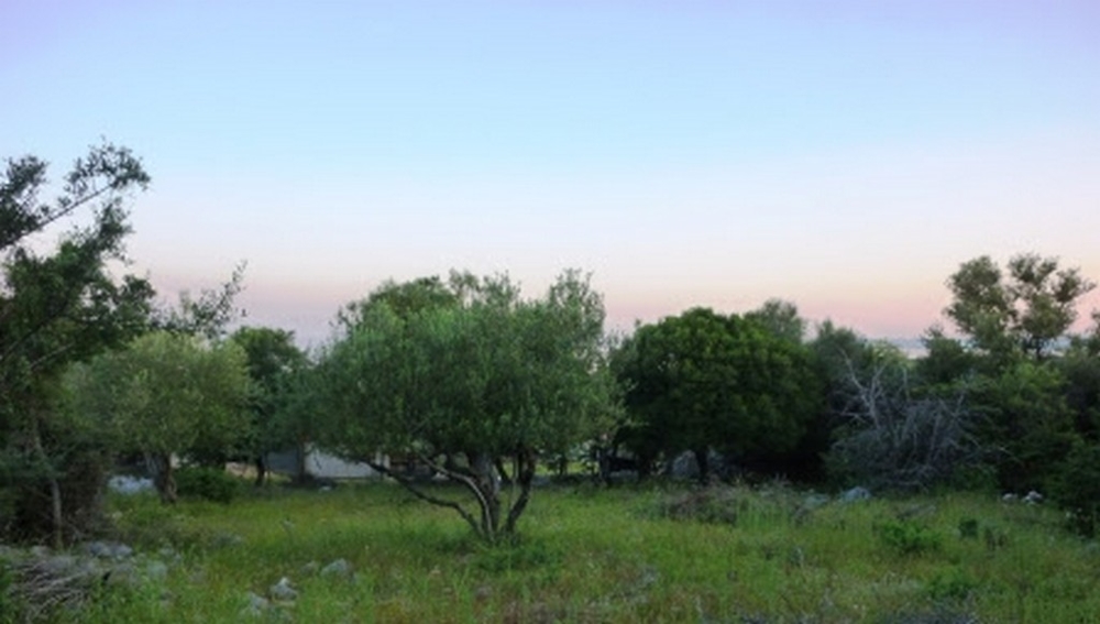 Horvátországi ingatlanügynök - Panorama Scouting G410