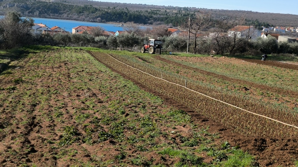 Tengerre néző G486 ingatlan Dalmáciában.