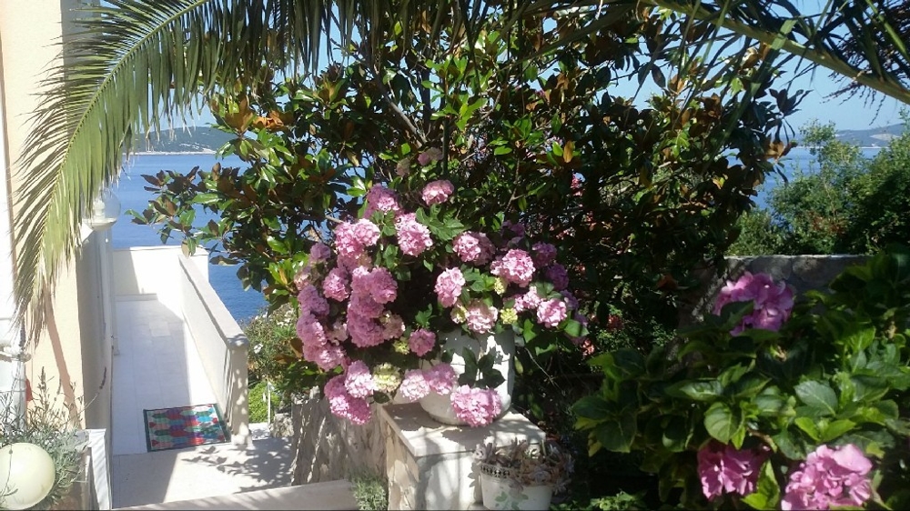 Kilátás a mediterrán kertre és az ingatlan bejáratára - vásároljon villát Horvátországban.