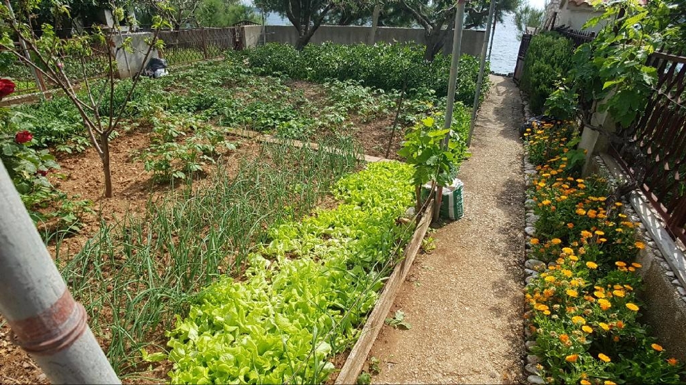 Kert és hozzáférés a tengerparthoz.