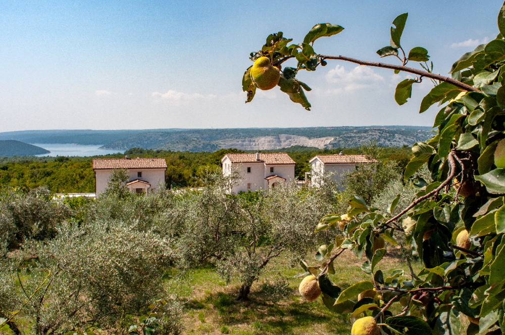 Vásároljon tengerre néző kőházakat Isztriában, Horvátországban - Panorama Scouting GmbH.