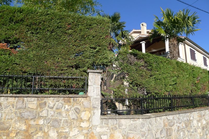 Mediterrán villa zöldellő kerttel körülvéve pálmafákkal és mediterrán növényzettel.