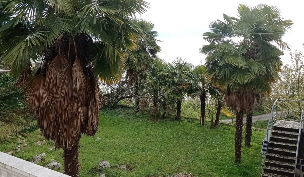 A H1765 ingatlan terasza, mely eladó Horvátországban a Lovran régióban - Panoráma cserkészet.