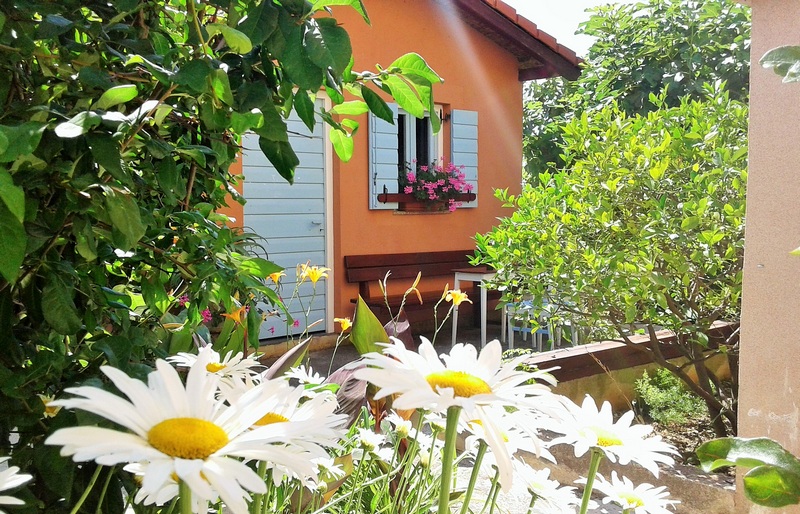 Benyomások a H1816-os ingatlan mediterrán kertjéről, Zadar, Horvátország.