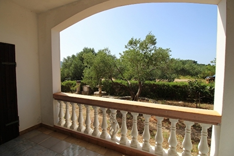 Kilátás a földszintről a zöld környezetre.