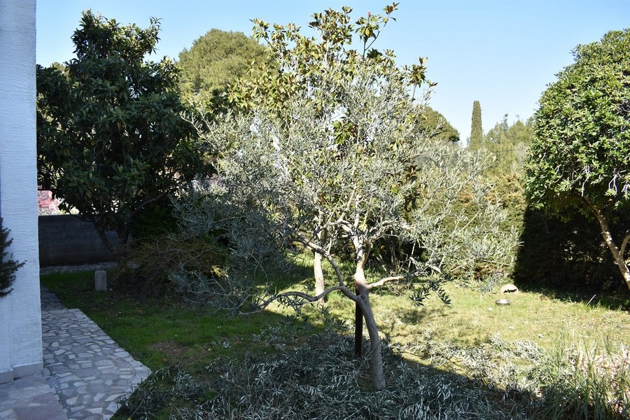 Ház vásárlás Horvátországban, Észak-Dalmáciában, Ugljan szigeten / Pasman / Dugi Otok - Panorama Scouting Immobilien H2133, vételár: 520 000 EUR - 5. kép