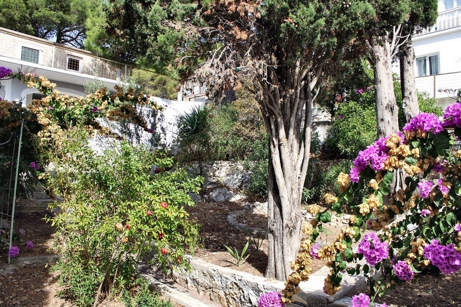 Ház vásárlás Horvátországban, Észak-Dalmáciában, Murter Tisno szigetén - Panorama Scouting Immobilien H2295, vételár: 590 000 EUR - 9. kép