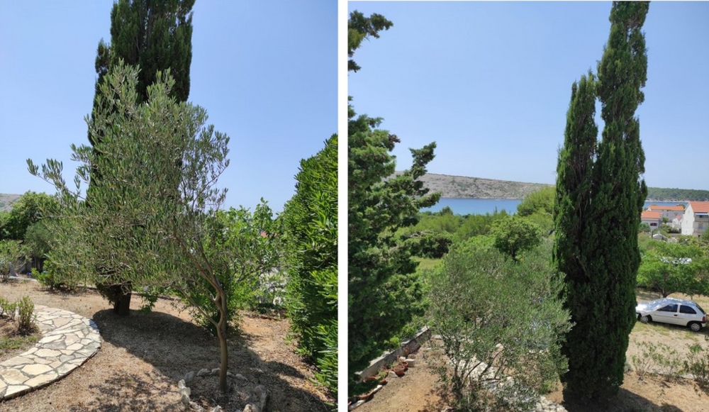 Tengerre néző H2481 ingatlan Horvátországban - Panorama Scouting.