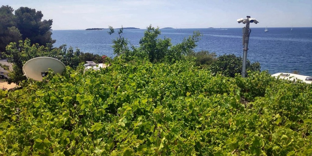 Tengerre néző H2634 ingatlan Horvátországban - Panorama Scouting.