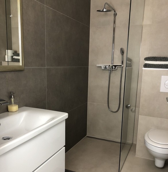 Modern fürdőszoba üvegzuhannyal és stílusos csempével egy horvátországi ingatlanban