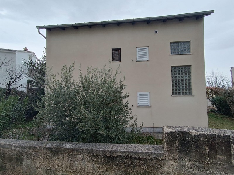 Crikvenicában, Horvátországban eladó bérház hátulnézete, olajfával az előtérben