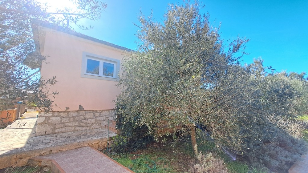 Mediterrán kert olajfával egy tengerparti ingatlan előtt Horvátországban