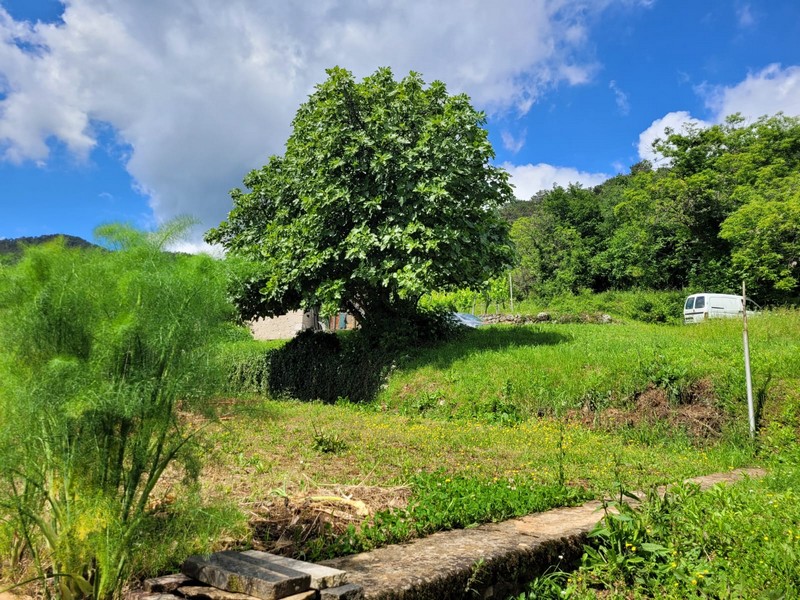 Tengerre néző ház eladó Horvátországban Lovran közelében - Panorama Scouting H3008.