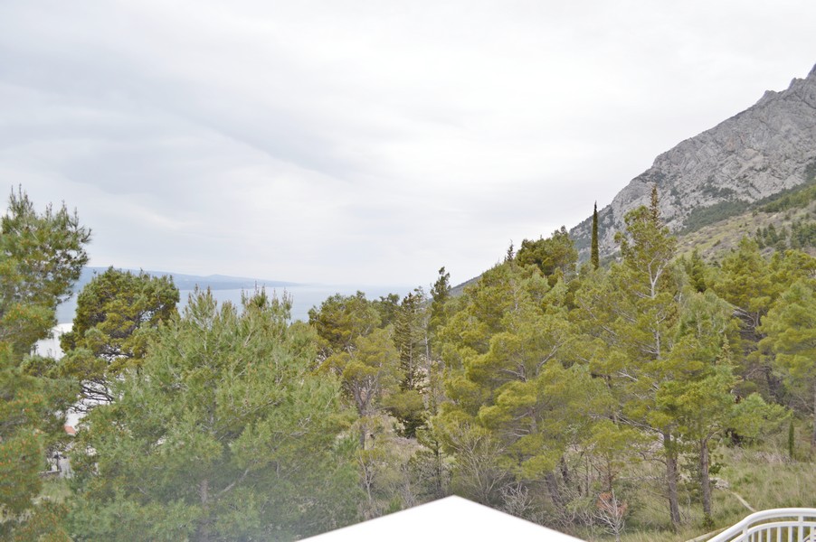 Kilátás a teraszról a hegyekre, a fenyőerdőre és a tengerre.