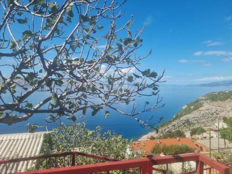 Kilátás a tengerre egy fügefa ágain keresztül egy dombon, házakkal a háttérben.