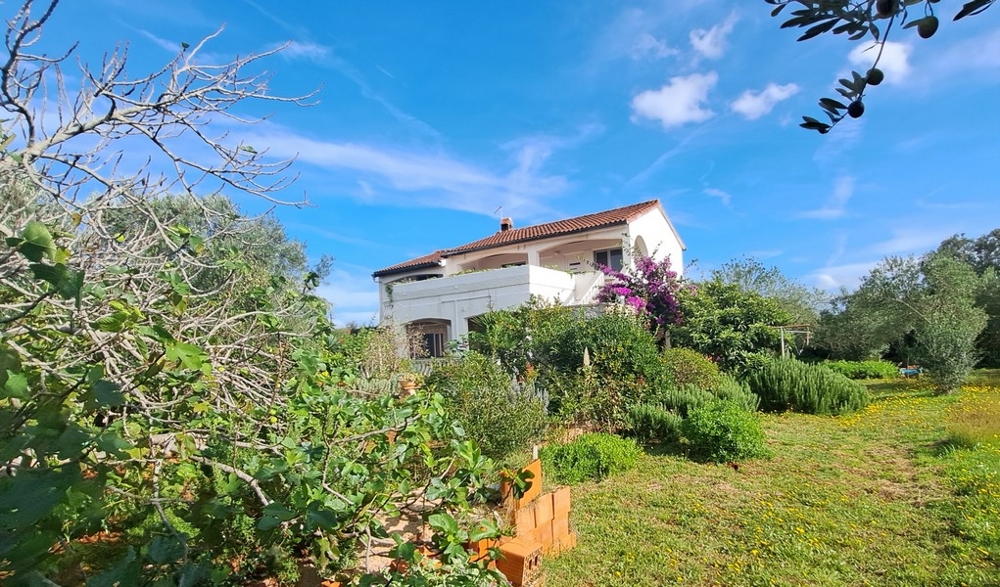 Vásároljon házat Ugljan szigetén - Panorama Scouting H3502.