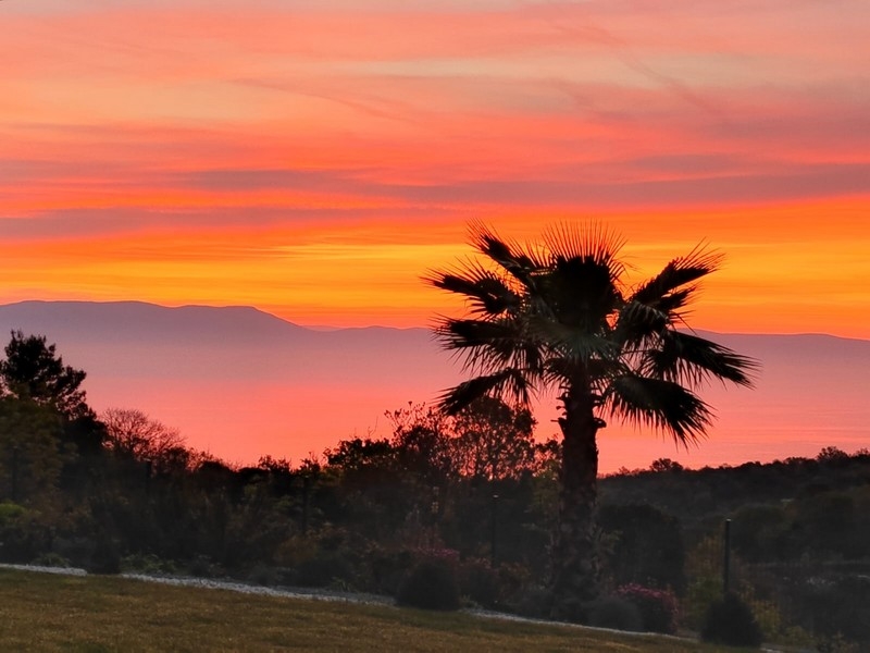 Naplemente pálmafákkal és tengerre néző kilátással a H3699 luxusingatlanra