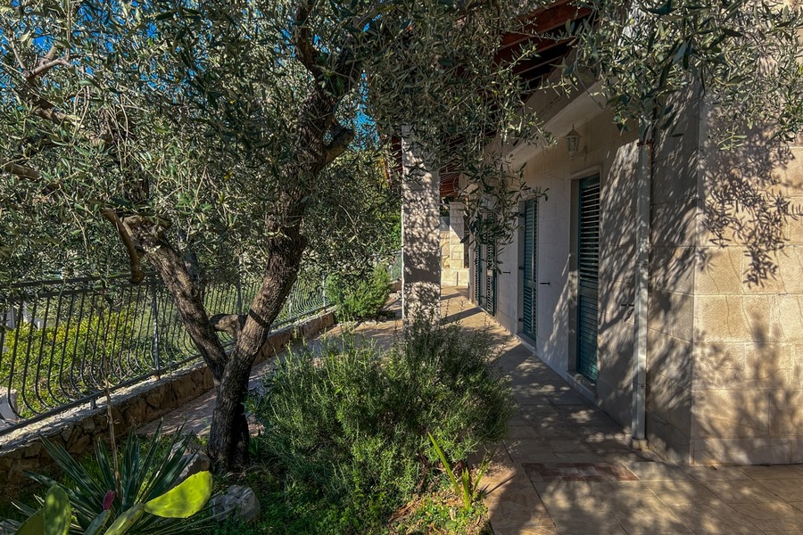 Mediterrán kert olajfával a háznál