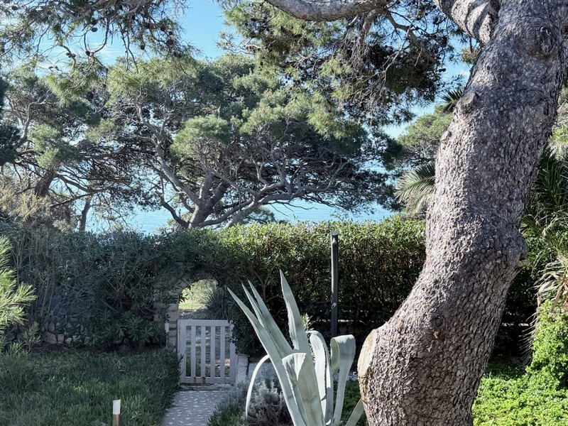 Kilátás a mediterrán környékre és a tengerre.