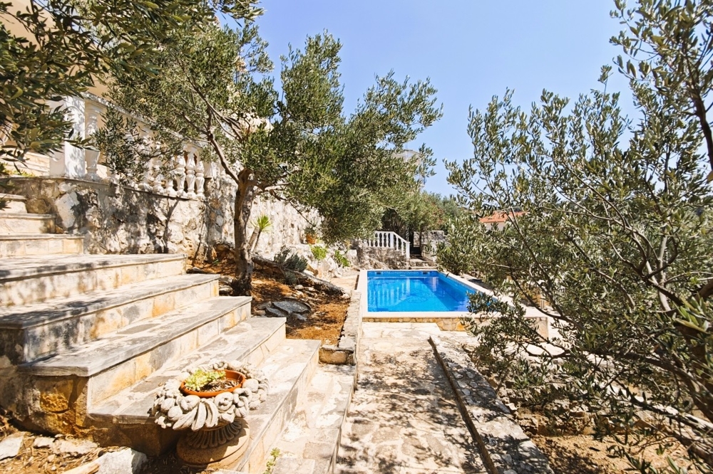 Kert medencével és mediterrán növényekkel