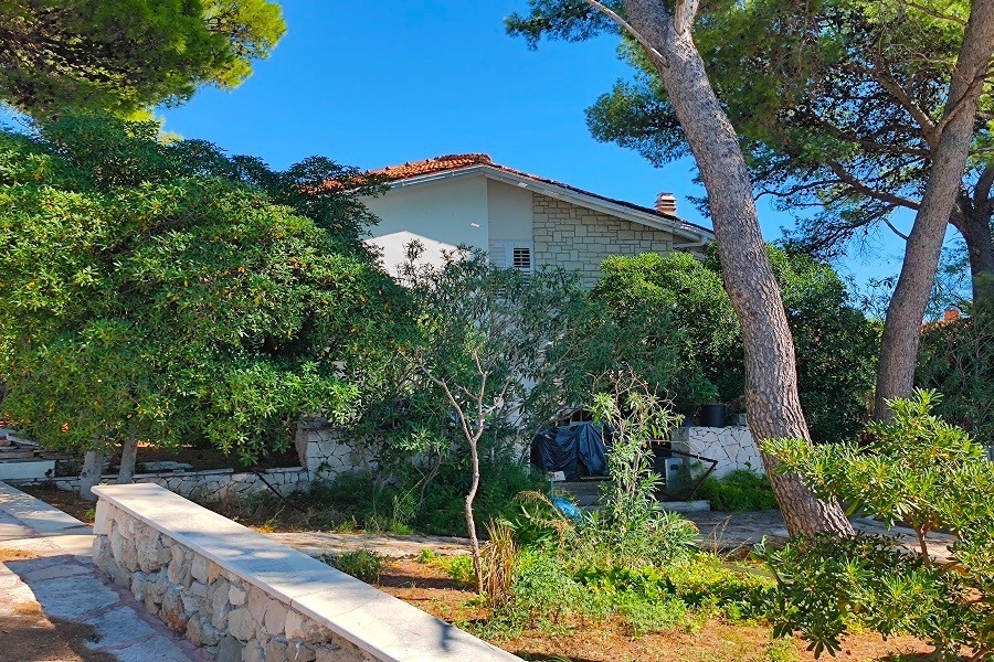 Ház az első sorban a tenger felé, kerttel és fenyőfákkal