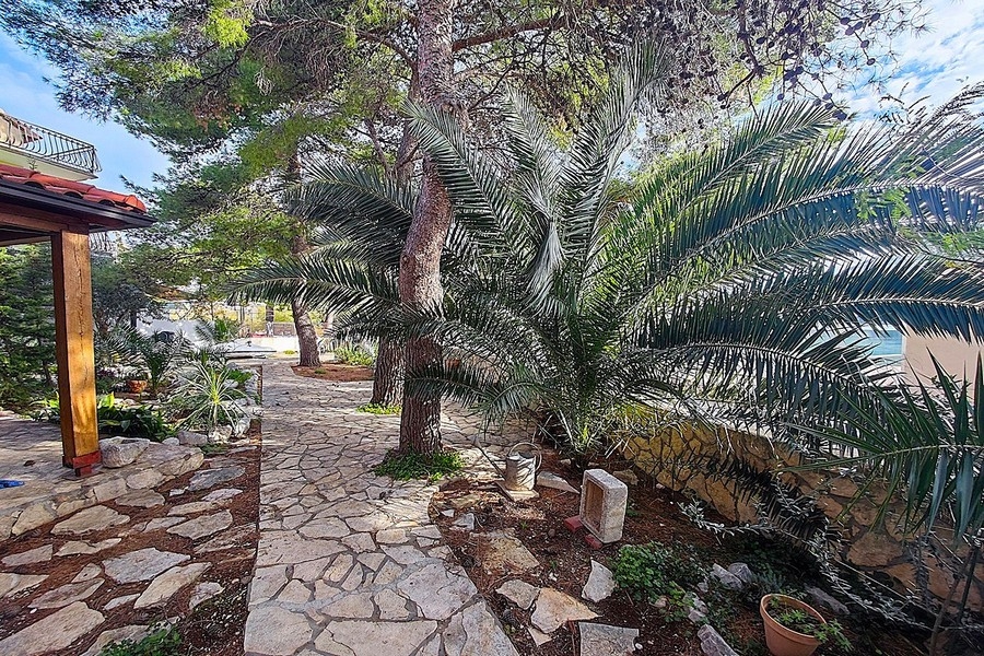 Mediterrán kert természetes kőúttal és pálmafákkal