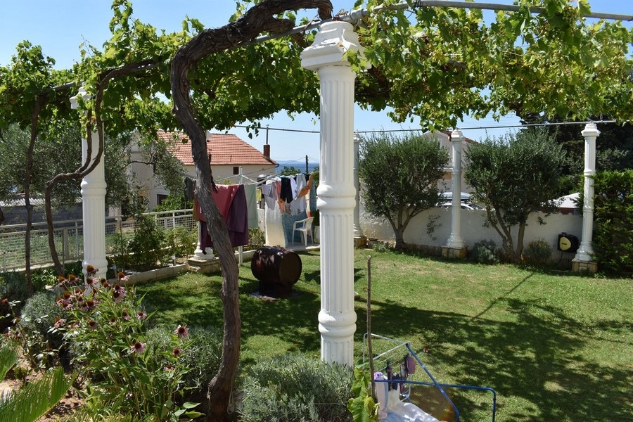 Pergola szőlővel a kertben