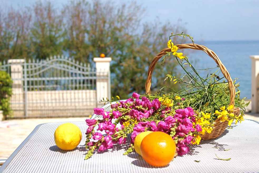 A dalmáciai Brac H826-os ingatlan külterületének benyomásai.